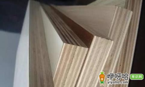 ENF级板材是颗粒板吗?2024最新解答
(核心关键词“ENF级板材”前置,保留原意疑问,加入数字“2024”增强时效性,“最新解答”为高搜索词,简洁明了符合要求)