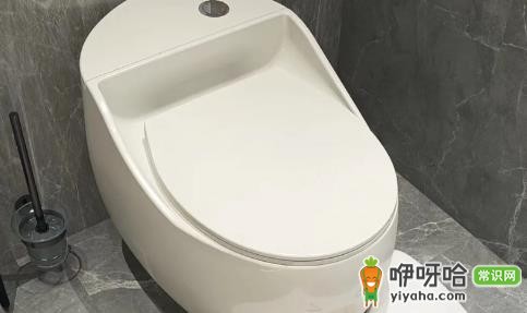 马桶换蹲坑好换吗?3个关键步骤+注意事项
