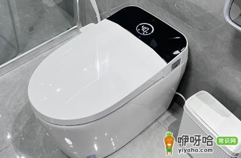 马桶换蹲坑好换吗?3个关键步骤+注意事项