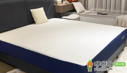 椰棕会不会生虫子?3个真相告诉你答案