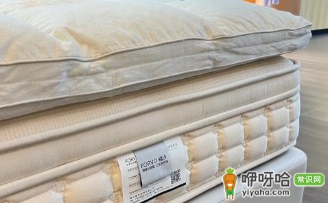 五星级酒店用什么软床垫？10大常用品牌推荐