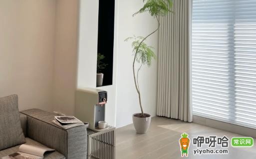 客厅浅灰vs米黄哪个好看？3大对比解析