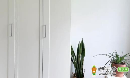 衣柜背板一般多厚？常见厚度5mm/9mm/18mm解析