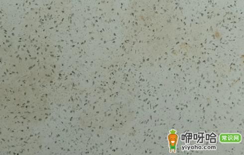 厨房石英石台面发黄能用刀刮吗?3大正确处理方式