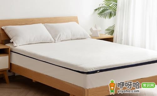乳胶床垫能折叠吗？3种常见可折叠款式解析