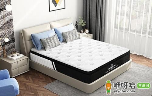 乳胶床垫能折叠吗?3种常见可折叠款式解析