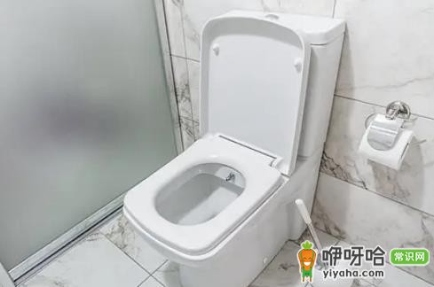 马桶胶没干能上厕所吗?至少等24小时再使用