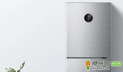 冰箱漏水接水盘在哪?3种常见位置快速找