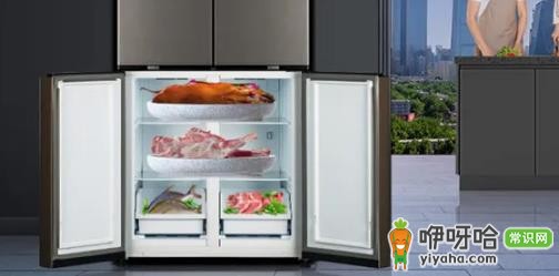 冰箱漏水接水盘在哪?3种常见位置快速找