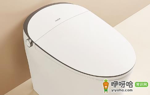 卫生间60厘米宽马桶位置够用吗？