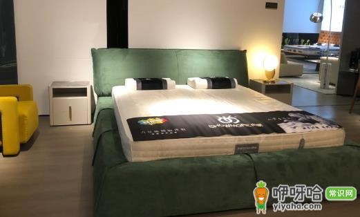 床和床垫加起来一万贵吗?2024实用选购指南
