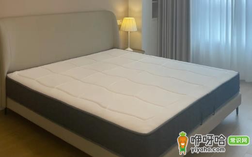 床和床垫加起来一万贵吗?2024实用选购指南