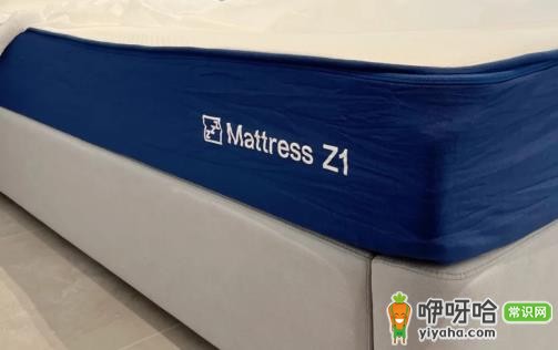 蓝盒子床垫是什么牌子?2024十大床垫品牌之一吗?