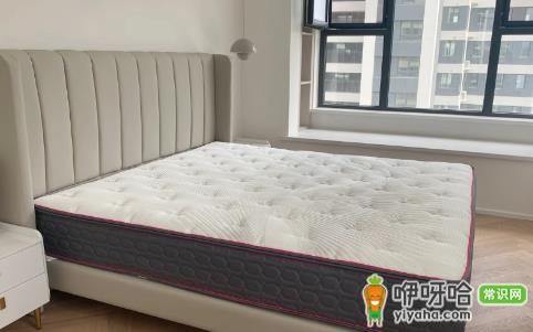 蓝盒子床垫和慕思床垫哪个好？2024对比推荐