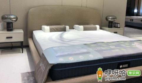 蓝盒子床垫和慕思床垫哪个好?2024对比推荐