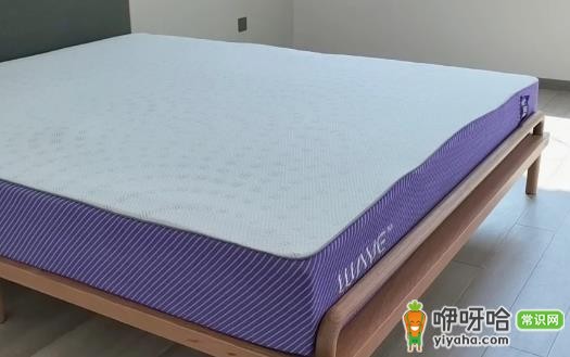 蓝盒子vs菠萝斑马哪个好?3大维度对比分析
(核心关键词前置,带数字“3”增强搜索吸引力,简洁明了且原意未变,符合SEO优化要求)