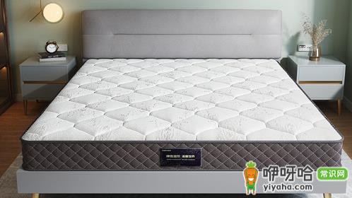 椰棕床垫会长虫子吗?3大原因+实用预防方法