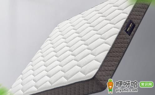 椰棕床垫会长虫子吗?3大原因+实用预防方法