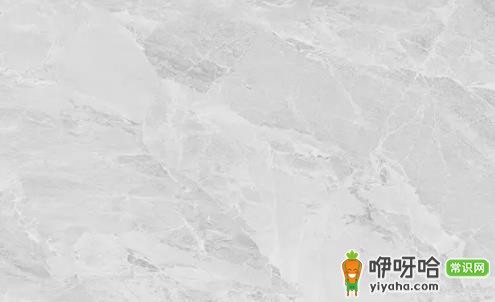 蓝鲸瓷砖是正宗广东砖吗?2024最新产地解答