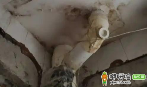 卫生间漏水到楼下不砸砖能做防水吗?3种有效方法