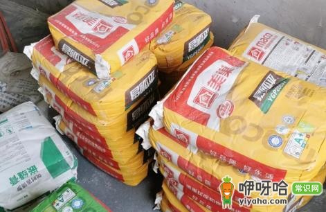 腻子粉加洗衣粉还是洗洁精?2种添加剂选哪个更好?