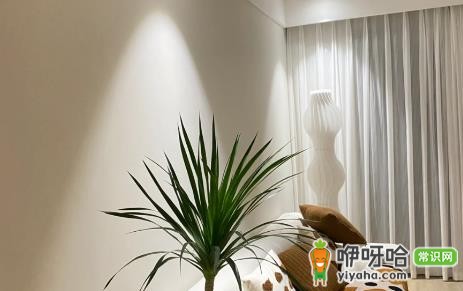 房子一边住人一边刷墙可以吗?3大环保注意事项必看