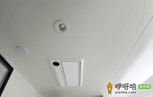 卫生间吊顶老鼠会跑出来吗?1分钟了解真相