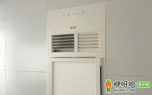 卫生间吊顶老鼠会跑出来吗?1分钟了解真相