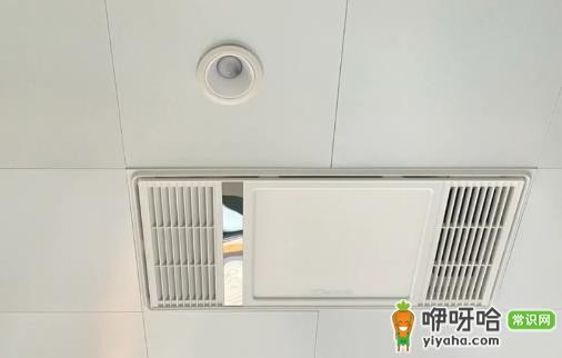 卫生间吊顶老鼠会跑出来吗?1分钟了解真相