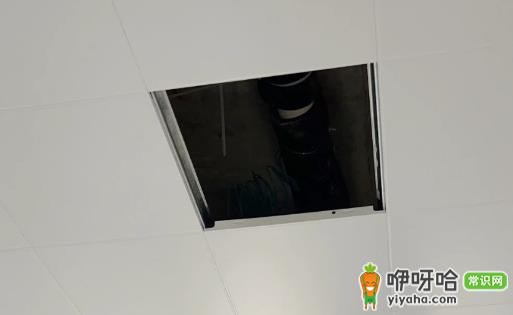 卫生间吊顶铝扣板vs蜂窝板:哪个好?2024最新实用对比