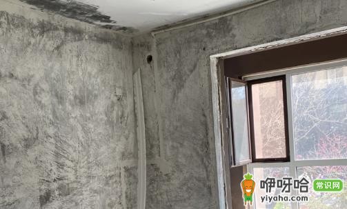 铲墙皮灰尘对人危害大吗?3大健康危害不容忽视