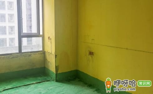 墙固和界面剂哪个效果好?3大区别对比+选择建议