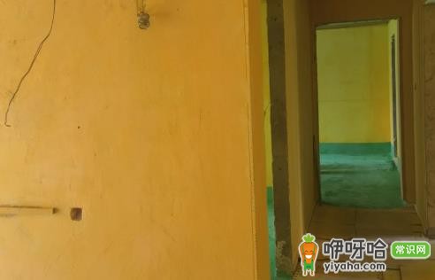 墙固和界面剂哪个效果好?3大区别对比+选择建议