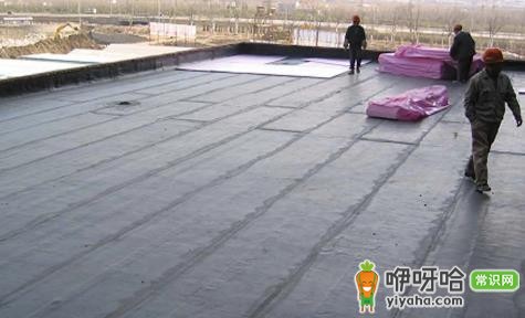 房顶防水几小时后下雨没事吗?24小时后淋雨更安全