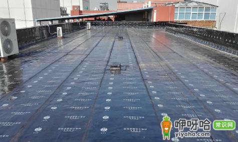房顶防水几小时后下雨没事吗?24小时后淋雨更安全