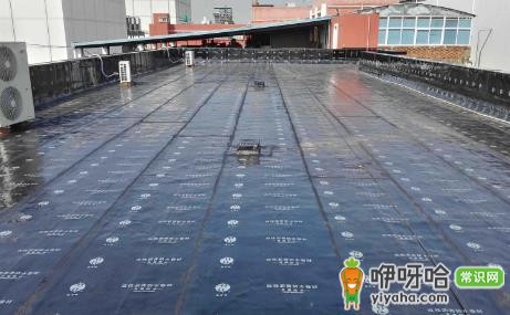 2024楼顶防水能用维修基金吗?新规说明