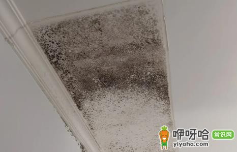 外墙渗水到内墙能彻底解决吗?3招轻松搞定