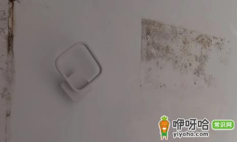 外墙渗水到内墙能彻底解决吗?3招轻松搞定