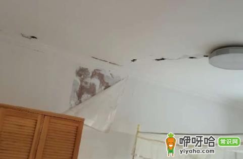 防水补漏一般多少钱2024?局部/全屋最新收费标准