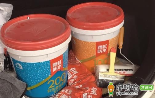 雨虹防水是几线品牌?2024最新行业排名揭晓
