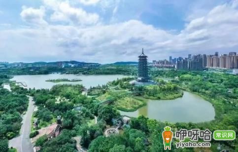 网签去中介还是交易大厅?2024选哪个更靠谱