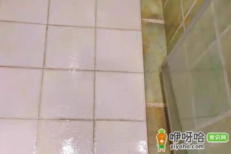 卫生间漏水被坑4000元怎么投诉?实用投诉方法指南