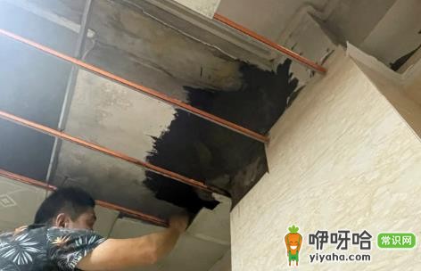 卫生间漏水被坑4000元怎么投诉?实用投诉方法指南