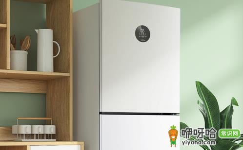 冰箱一级二级能效一天电费差多少钱?