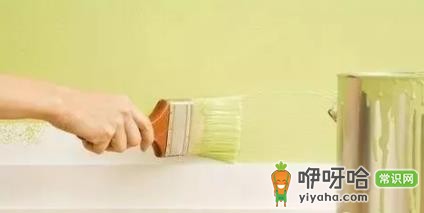 乳胶漆要加水才能刷吗?新手必知的3个关键要点