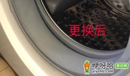 滚筒洗衣机皮圈霉斑怎么去除?3招轻松搞定霉斑问题