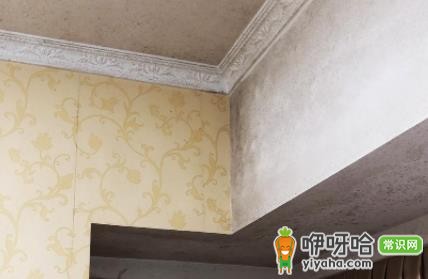 屋里棚顶发霉怎么回事?3大常见原因解析