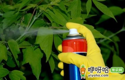 房间喷杀虫剂后衣物可以穿吗？记住这3点

（解析：核心关键词“房间喷杀虫剂后衣物可以穿吗”前置，加入数字“3”提升吸引力，“记住这3点”引导点击，符合SEO优化和用户阅读习惯，字数控制在30字内。）