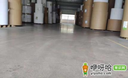 水泥地胶漆怎么去除?5个简单有效方法轻松解决