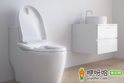 马桶盖长黑霉怎么去除?3种简单实用方法轻松解决